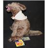 Image 2 : VINTAGE CHARLEEN KINSER 1998 COYOTE SIR PLUSH ANIMAL
