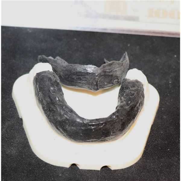STAR TREK UNKNOWN ALIEN SILICONE TEETH
