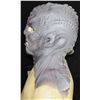 Image 2 : STAR TREK DISCOVERY L'RELL KLINGON SILICONE MASK ROUGH BUT SCREEN USED