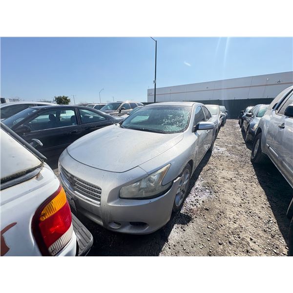 NISSAN MAXIMA 2011 T