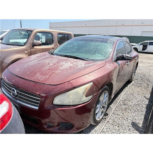 NISSAN MAXIMA 2011 T