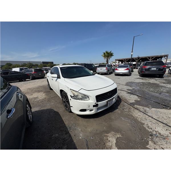 NISSAN MAXIMA 2013 T