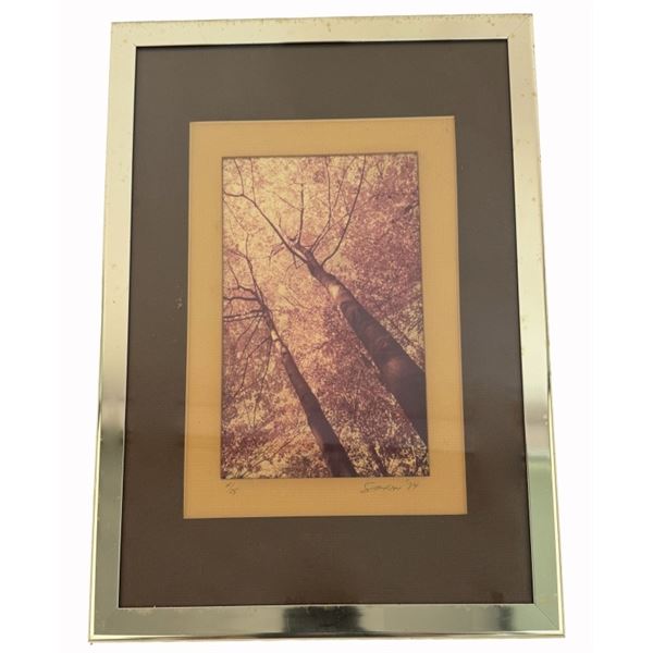 1974 Signed Photograph "Chicago Forest Preserve"