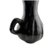 Image 10 : Santa Clara Pueblo Tewa Blackware Melon Pitcher