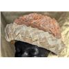 Image 4 : 5 Distinct Womens Hats Featuring Various Designs and a Veil Hat