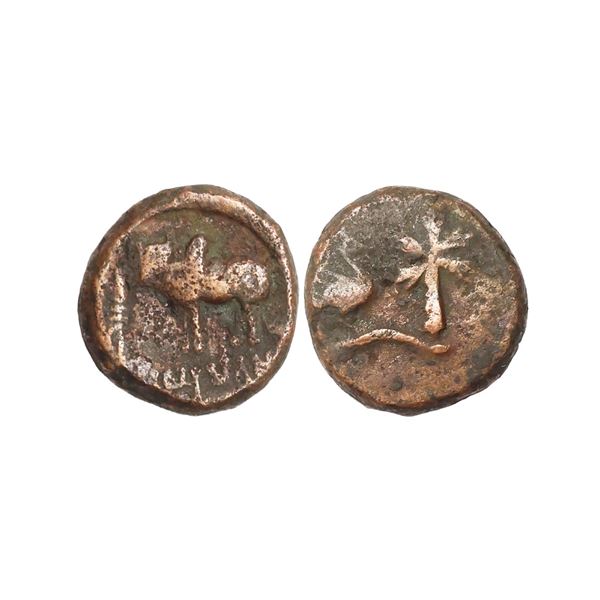 Ancient, Ayodhya, Ayumitra (2nd-1st Century BC), Copper Unit, 7.73 gms