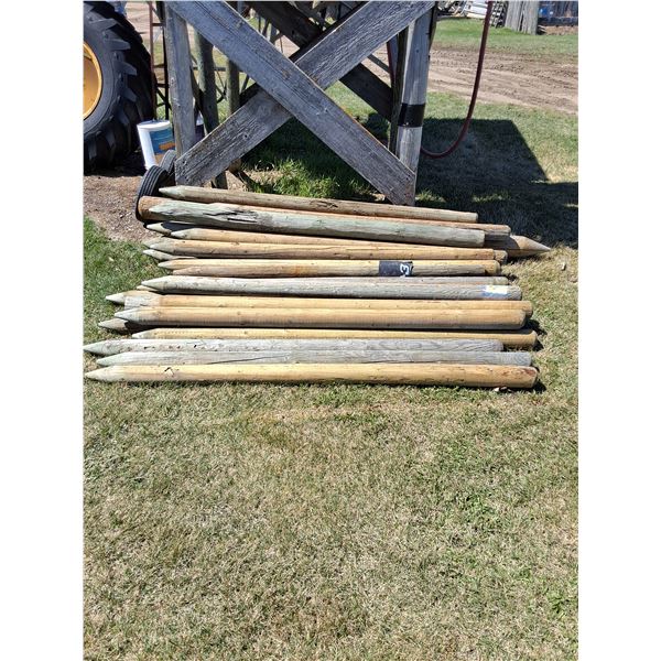 (43) 6ft-3" TREATED Fence Posts