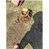 Image 1 : Half Ton Chain Hoist
