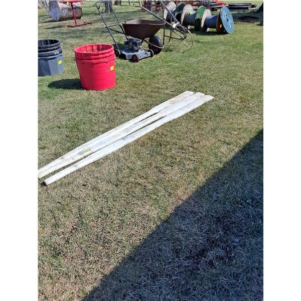 (3) Boat Oars