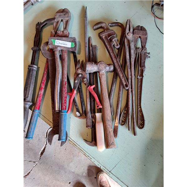 Nail Puller,  Bolt Cutter, Pipe Wrench