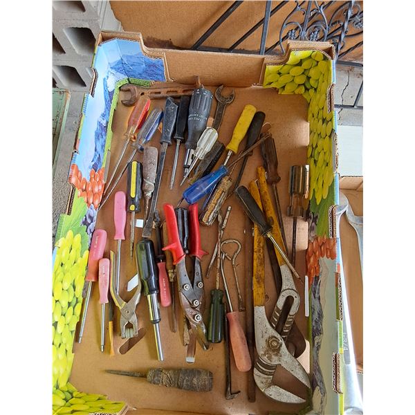 Screwdrivers and Pliers