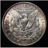 Image 2 : 1901 MORGAN DOLLAR BU