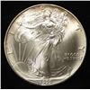 Image 1 : 1995 AMERICAN SILVER EAGLE