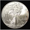 Image 1 : 2009 AMERICAN SILVER EAGLE