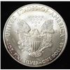 Image 2 : 2009 AMERICAN SILVER EAGLE