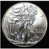 Image 1 : 2013 AMERICAN SILVER EAGLE