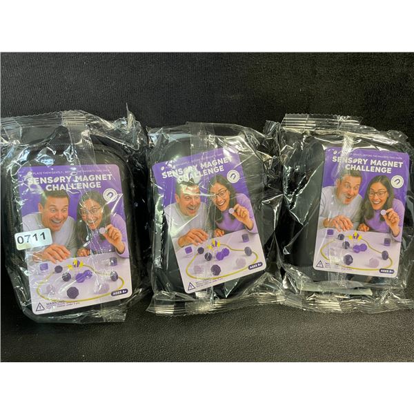 Lot of 3 Sensory Magnet Challenge Game Sets - New