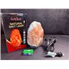 Image 3 : Selrosa Himalayan Salt Lamp (5-7lbs) Hand-Carder Natural Pink Crystal Rock w/ Wooden Base - New!