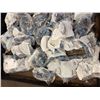 Image 5 : Lot of Various Festo Fittings