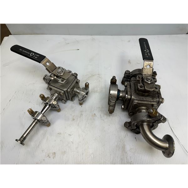 Lot of (2) Techmatic Valves