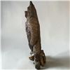 Image 5 : Grizzly Bear 2m Tall Chainsaw Sculpture by Dan Richey 2024