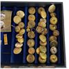 Image 4 : Large Group of Brass Military Buttons from a Wide Range of Dates and Armed Forces - Display tray not