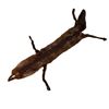 Image 2 : Vintage Brown Full Body Fur Pelt