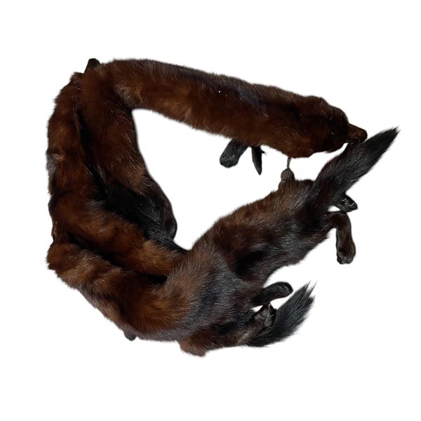 Dark Brown Full Body Mink Stole