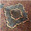 Image 4 : 100% Hand Knotted Rug Made in Iran Ardebil Region 9'2"x6'6"