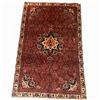 Image 1 : 100% Hand Knotted Rug Made in Iran 10'x6'3" Bijar Region Resistant Texture Carpet