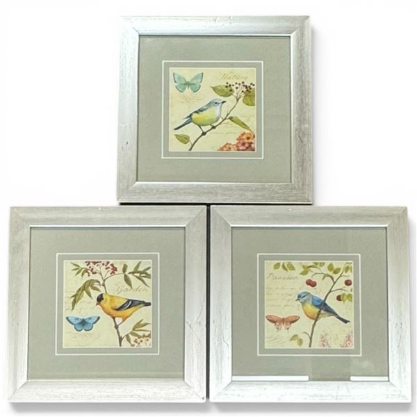 3 Cheerful Bird Prints in Matching 13" x 13" Frames