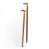 Image 1 : 2 Brass Handled Wood Canes