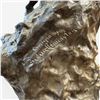Image 5 : Frederic Remington Mountain Man Bronze Sculpture Limited Edition 148/250