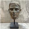 Image 1 : Classical Bronze Head Study with Deep Patina  19" Tall
