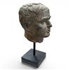 Image 3 : Classical Bronze Head Study with Deep Patina  19" Tall