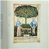 Image 6 : Collection of Italian Museum Art-Plate Folios - 8 Volumes (Still in Original Shells)