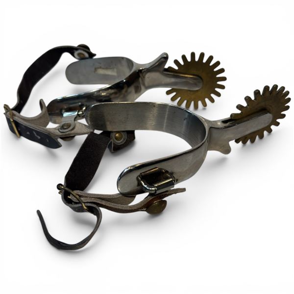 Pair of Stainless Steel and Brass Rowel and Strap Button