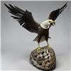 Image 1 : Large Bald Eagle Sculpture Signed Juan J. Celis M.  Wing-to-Wing Span Measures 34-Inch