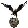 Image 3 : Large Bald Eagle Sculpture Signed Juan J. Celis M.  Wing-to-Wing Span Measures 34-Inch