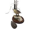 Image 3 : Border Fine Arts Ltd. Edition Canada Goose Sculpture by Frank DiVita & Carved Duck (Goose Sculpture 