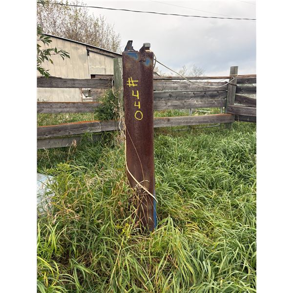Cattle oiler