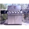 Image 2 : The Great Outdoors Pinnacle Gas Grill with Cover and Storage Cabinet