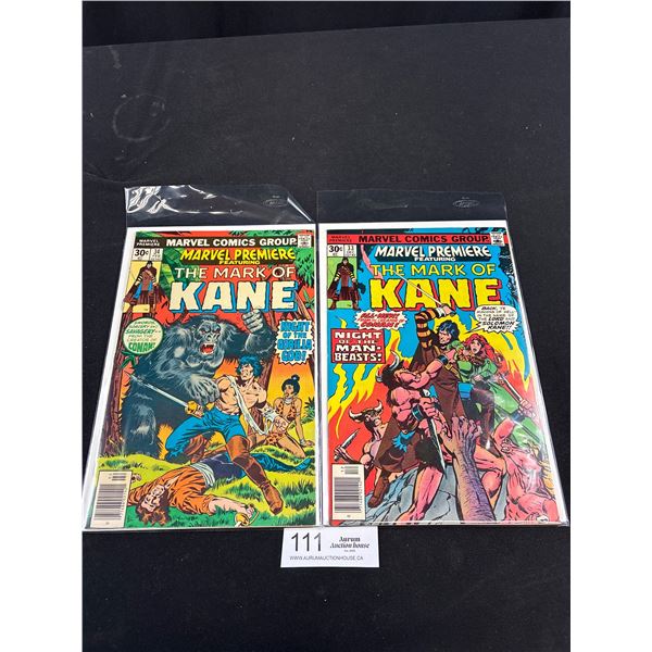 1976 Marvel Premiere The Mark of Kane #33 and #34 Comics