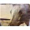 Image 3 : Vintage Horse Portrait Woodburning Art Panel â€“ Signed McKee approx. 47 x 47in
