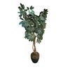Image 1 : 7ft Tall Artificial Schefflera Umbrella Tree in Gray Planter â€“ Faux Floor Plant