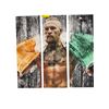 Image 2 : Conor McGregor UFC 3-Panel Canvas Wall Art Irish Flag Triptych - approx. 36 x 35 1/2in