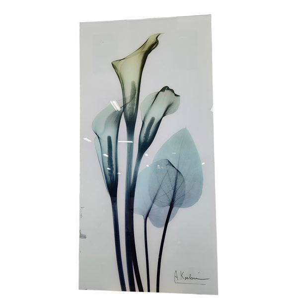Large Glass Wall Art - Calla Luly X-Ray Print - A Koebni (Approx. 47in H)