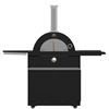 Image 1 : BNIB - Forno Outdoor BBQ 18in Gas Pizza Oven Only - Part of Model FODKT2551BLK-3 from trucking claim