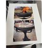 Image 3 : New Unique Outdoor Fire Pit/Cooking Experience Hemisfyre (new display unit) Model HG-1 MSRP $799