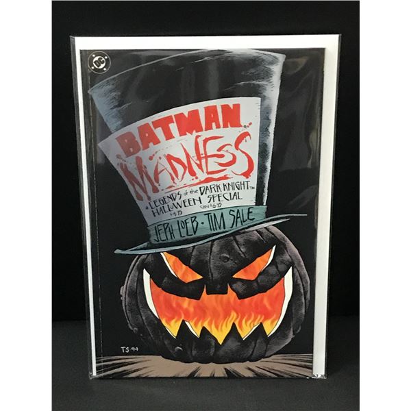 BATMAN MADNESS GRAPHIC NOVEL - DC